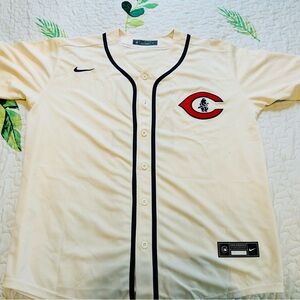 Nike Chicago Cubs Field of Dreams Baseball Jersey Nico Horner